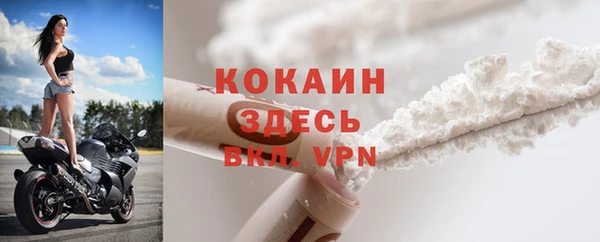 прущие крисы Гусев