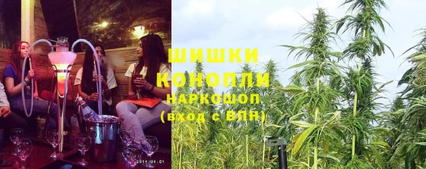 мяу мяу мука Горняк