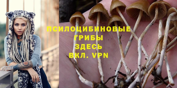 прущие крисы Гусев