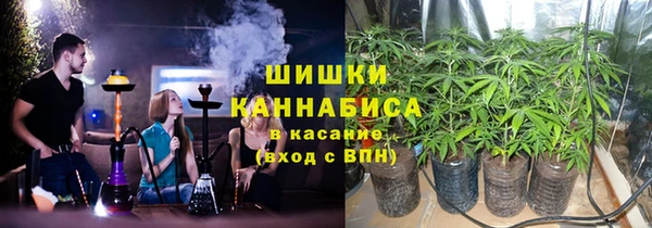 прущие крисы Гусев