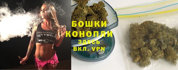 альфа пвп Горнозаводск