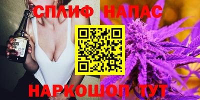 сатива Краснокаменск