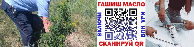 сайты даркнета как зайти Наро-Фоминск Дистиллят ТГК концентрат