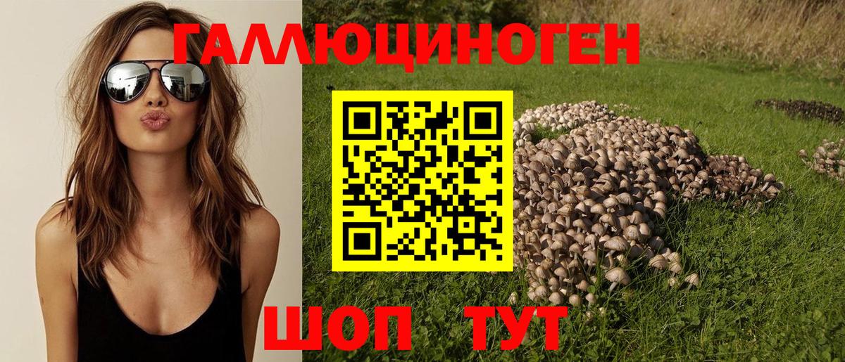 Псилоцибиновые грибы Psilocybe  Вход с VPN  Псилоцибиновые грибы MAGIC MUSHROOMS  Наро-Фоминск 