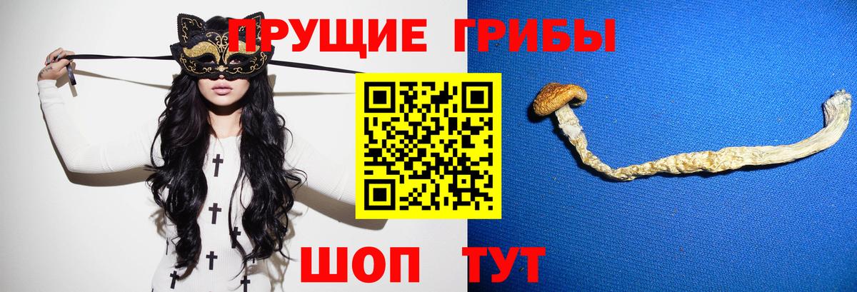 купить   Наро-Фоминск  Псилоцибиновые грибы мухоморы 